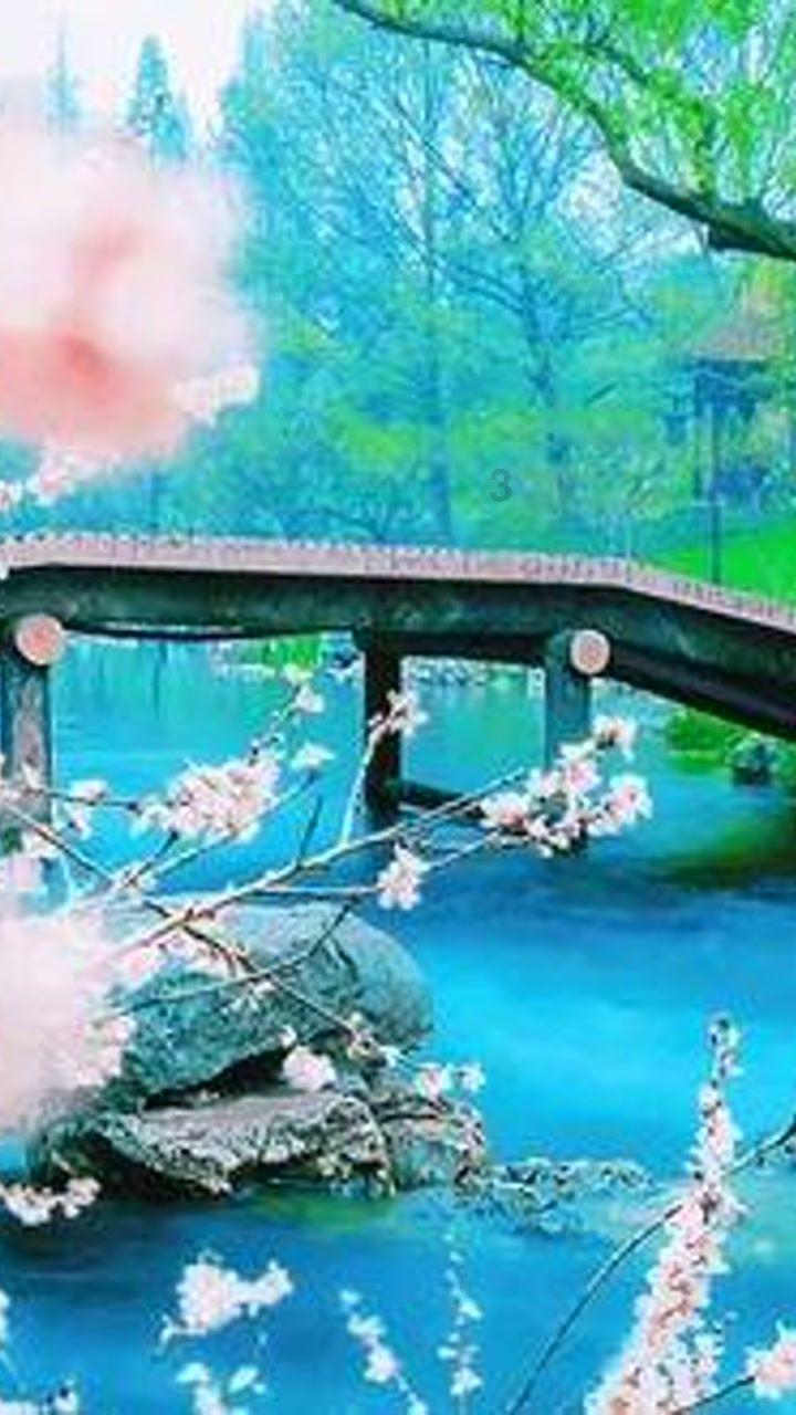 628.8爱情暗示什么意思？